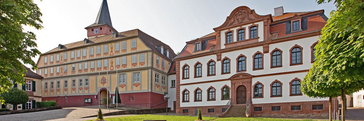 Ansicht auf das Alte und Neue Schloss in Bad König