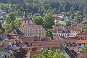 Blick auf das Alte und Neue Schloss Bad König