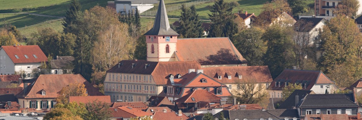 Schlösser Bad König Ausblick auf das Alte und Neue Schloss in Bad König