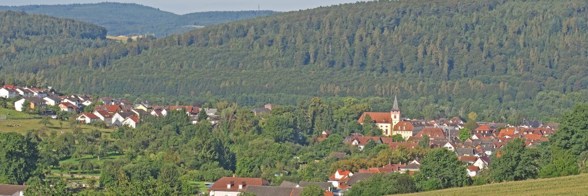 Ausblick vom Grohberg auf Bad König