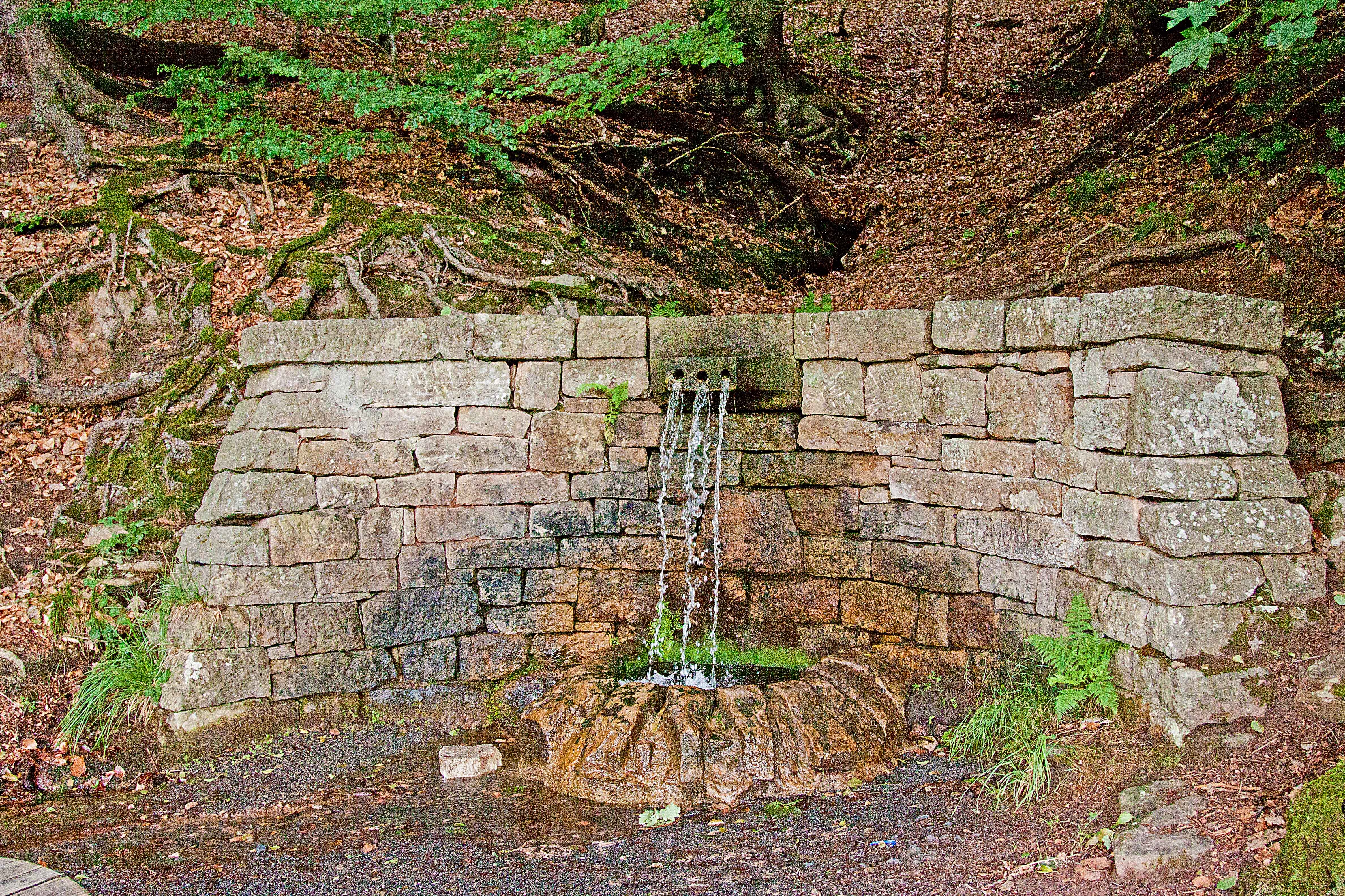 Blick auf den Erlenbrunnen