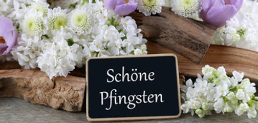 Tafel mit der Aufschrift "Schöne Pfingsten" umrandet von Blumen