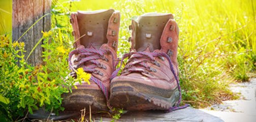 Symbolbild Wandern; Wanderschuhe stehen im Grünen bei Sonnenschein